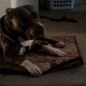 Meet your Posher, Amariah